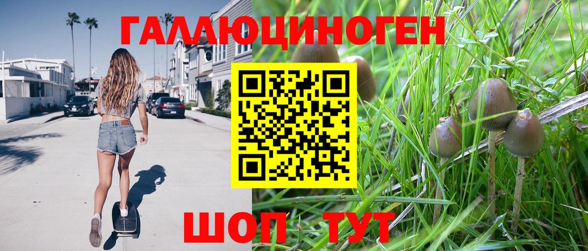 Аша  Галлюциногенные грибы Magic Shrooms  Вход с VPN 